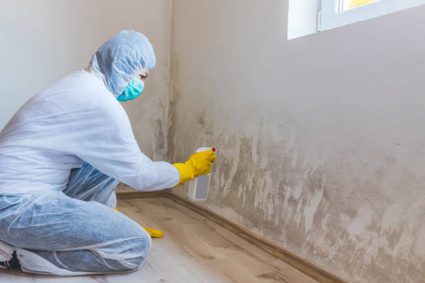 Best Crawl Space Mold Removal  in Winnebago, MN
