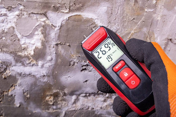 Best Professional Mold Removal  in Winnebago, MN