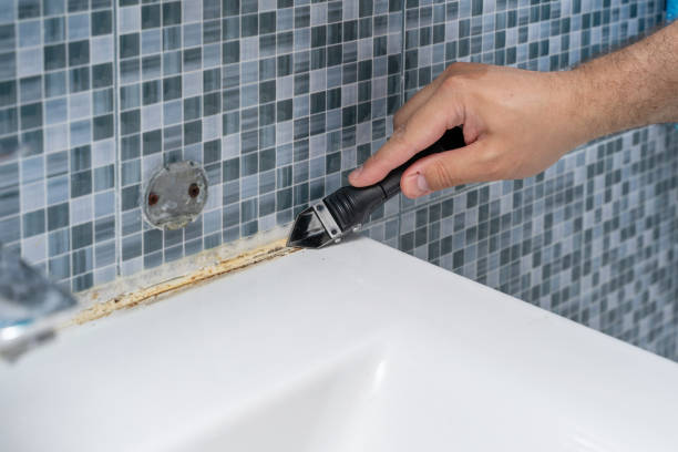Home Mold Removal in Winnebago, MN