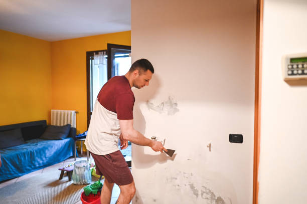 Best Toxic Mold Removal  in Winnebago, MN